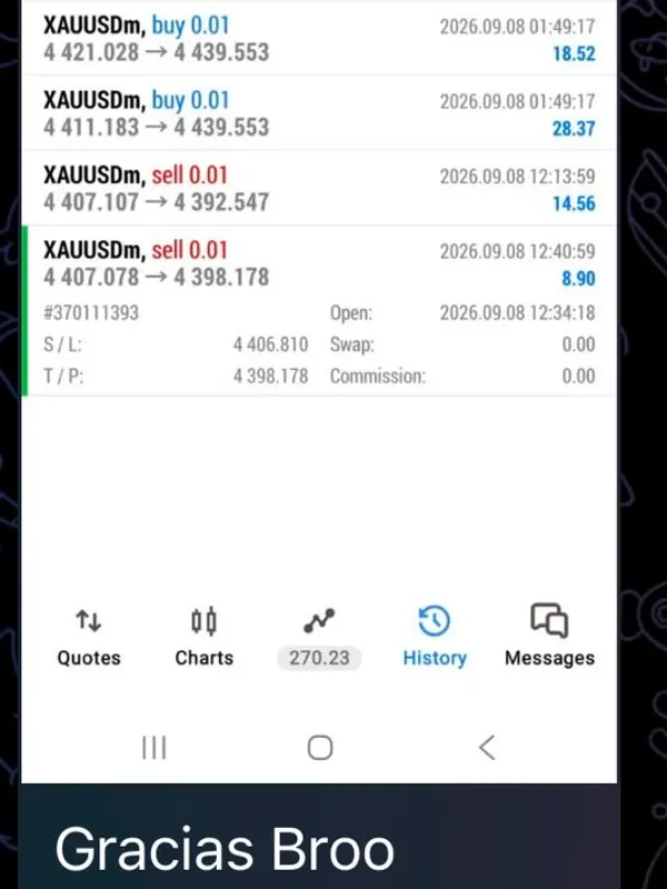 Historial de un miembro con compras y ventas del mismo día y su mensaje de agradecimiento