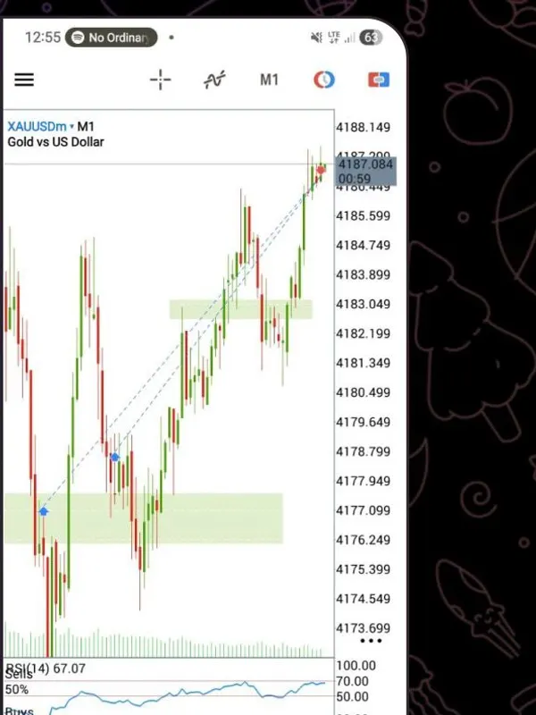 Gráfico de un miembro con dos zonas de entrada marcadas