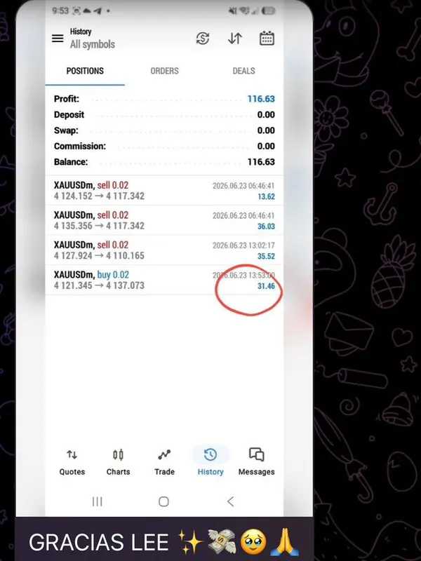 Historial de un miembro del canal y su mensaje de agradecimiento